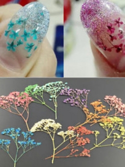 ดอกไม้แห้งจริงแต่งเล็บ 3 มิติ / ชุด 10 ชิ้น (นอก)