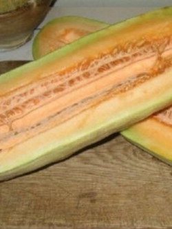 แตง Honeymelon Banana / 5 เม็ด (Hungary)