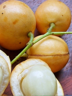 มะไฟ (Burmese Grape) / 10 เม็ด