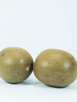 ลูกหล่อฮังก๊วย