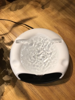 น้ำพุแมววิถีเซน