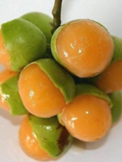 มะนาว Sweet Spanish / 10 เม็ด