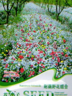 ดอกไม้ป่า คละ ปลูกใต้ร่มเงา สูง 30-45 ซ.ม. / ซอง 200 เม็ด (K005)