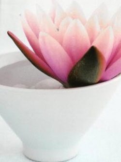 บัวฝรั่ง สีชมพู / 200 เม็ด