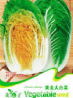 กะหล่ำจีน ซอง 20 เม็ด (C037)