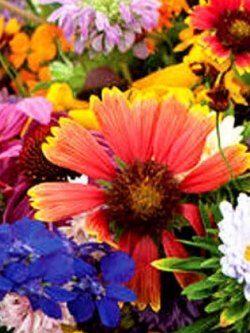 ชุดรวมดอกไม้ต่างประเทศคละชนิด / น้ำหนัก 1 กรัม