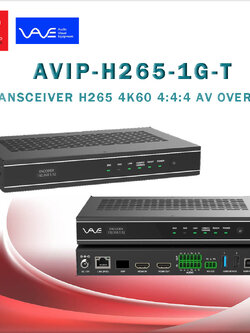 Vave-AVIP-H265-1G-T