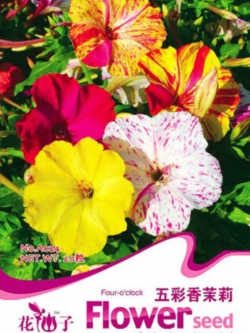 บานเย็น คละสี ซอง 20 เม็ด (A024)