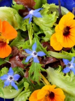 ชุดรวมดอกไม้กินได้ / น.น. 3 กรัม (Poland)