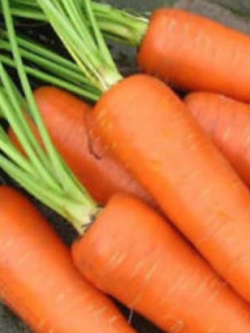 แครอท (carrot) สีส้ม / 400 เม็ด
