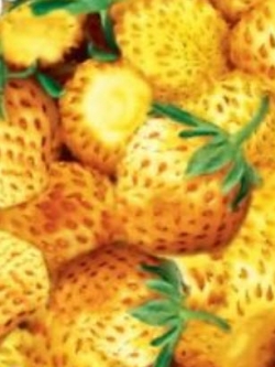สตรอเบอรี่ป่า (Wild Strawberry) สีเหลือง / 100 เม็ด (หายาก)