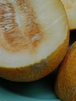 แตงบูคาร่า (Bukhara Muskmelon) อร่อยที่สุดในโลก / 5 เม็ด (Uzbekistan)