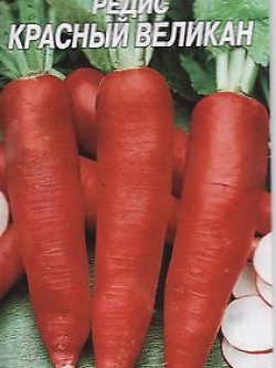 ไชเท้าแดงใหญ่ / 300 เม็ด (Ukraine)