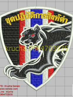 ไฟล์บล็อคปัก ชุดปฏิบัติการสิงห์ดำ 1