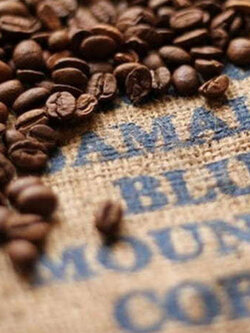 กาแฟ บลู เมาเท่น (Blue Mountain Coffee) / 10 เม็ด