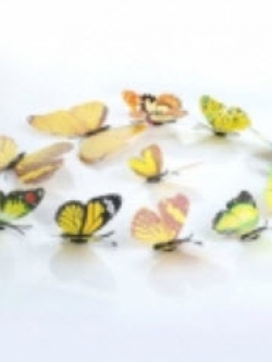ผีเสื้อติดผนัง มีแม่เหล็ก / ชุด 12 ชิ้น