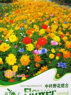 ดอกไม้ป่า (wildflowers) คละ สูง 30-45 ซ.ม. / ซอง 200 เม็ด (K003)