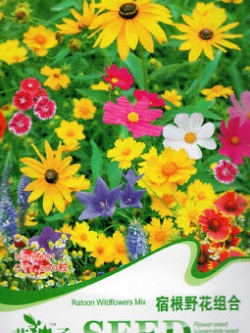 ดอกไม้ป่า (wildflowers) คละ สูง 35-50 ซ.ม. / ซอง 200 เม็ด (K001)