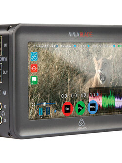 Atomos Ninja Blade 5 นิ้ว HDMI On-Camera Monitor & Recorder (Full Version)