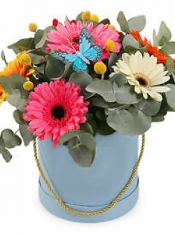 เยอบีร่า (Gerbera) คละสี / 100 เม็ด