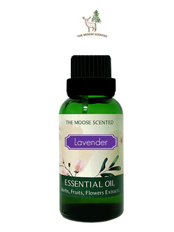 Lavender Essential Oil