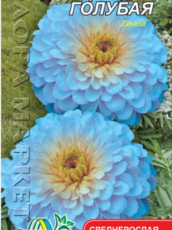 บานชื่นสีฟ้า ( Zinnia haageana blue #764) / ซอง 30 เม็ด (Ukraine)