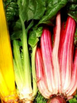 สวิสชาร์ด เรนโบว์ (Swiss Chard Rainbow) / 150 เม็ด (UK)