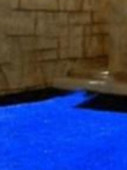 หญ้าฟาง (Fescue grass) สีน้ำเงิน / 500 เม็ด