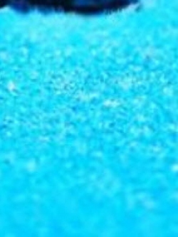 หญ้าฟาง (Fescue grass) พันธุ์เตี้ย สีฟ้าอ่อน / 500 เม็ด