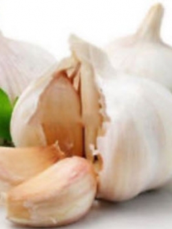 กระเทียม หัวใหญ่ / 100 เม็ด