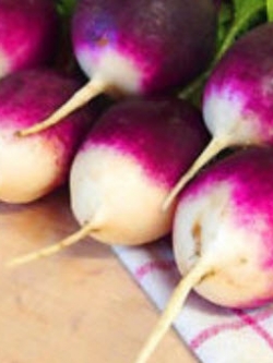 ไชเท้า ไดอาน่า (Radish - Diana) สีม่วง / 100 เม็ด (UK)