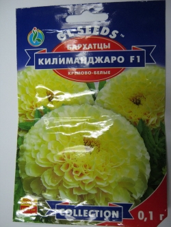 ดาวเรือง คีรีแมนจาโร (Marigold Erecta Kilimanjaro) สีขาว / 35 เม็ด (Ukraine)