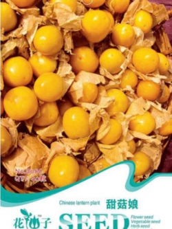 Chinese lanthern plant ซอง 40 เม็ด (B086)