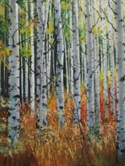 ไวท์เบิร์ช (White Birch) / 100 เม็ด