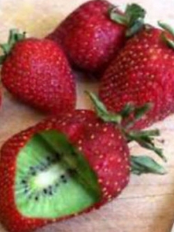 กีวีสตรอเบอรี่ (Strawberry Kiwi) / 100 เม็ด