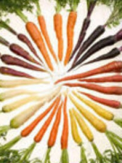 แครอท แฟนซี (rainbow carrot) / 200 เม็ด