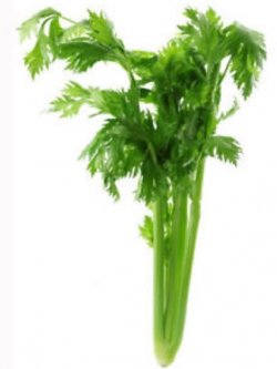 คื่นช่ายนอก / ซอง 50 เม็ด