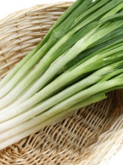 กุ๋ยช่าย หรือกระเทียมต้น (Leek) / 100 เม็ด
