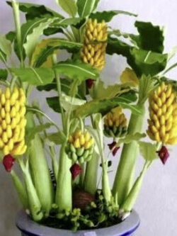 กล้วยต้นเตี้ย/กล้วยแคระ (Dwarf Banana Tree) / 50 เม็ด (China)*