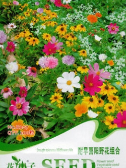 ดอกไม้ป่า คละ สำหรับพื้นที่แห้งแล้ง สูง 40-55 ซ.ม. / ซอง 200 เม็ด ( K007)