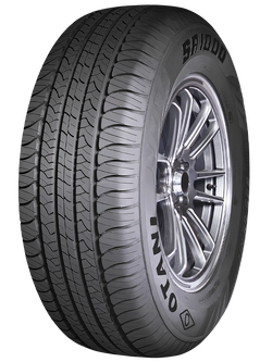 275/55R20 OTANI SA1000