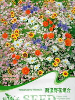 ดอกไม้ป่า คละแบบ พื้นที่มีน้ำใต้ดิน สูง 30-45 ซ.ม / ซอง 200 เม็ด (K006)