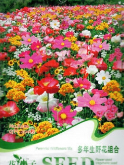 ดอกไม้ป่า (wildflowers) คละ / ซอง 200 เม็ด (K002)