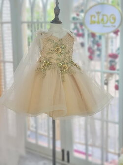 ชุดเจ้าหญิง(หน้าร้านอยู่รัชดา ลองได้ถ่ายรูปจากชุดจริง)N212สีทอง กระโปรงสั้นฟู