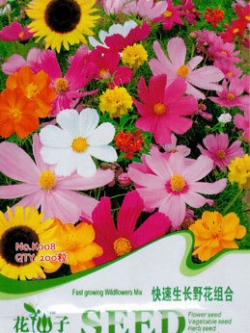 ดอกไม้ป่า คละ โตเร็ว สูง 30-50 ซ.ม. / ซอง 200 เม็ด (K008)