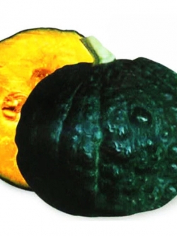 ฟักทองญี่ปุ่น (Japanese pumpkin) / ซอง 8 เม็ด (C117)