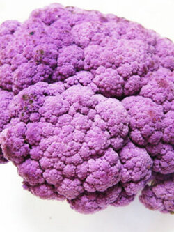 กะหล่ำดอกม่วง (Purple Cauliflower) / ซอง 20 เม็ด