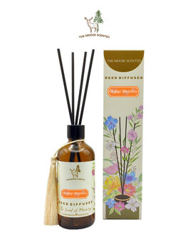 Orange Harmony Reed Diffuser