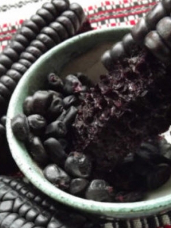 ข้าวโพดดำหวาน (Morado Sweet Corn) / 5 เม็ด (Hungary)