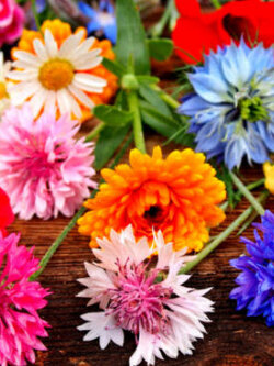 ชุดรวมไม้ดอกและไม้ดอกสมุนไพร / น.น. 0.6 กรัม (UK)*